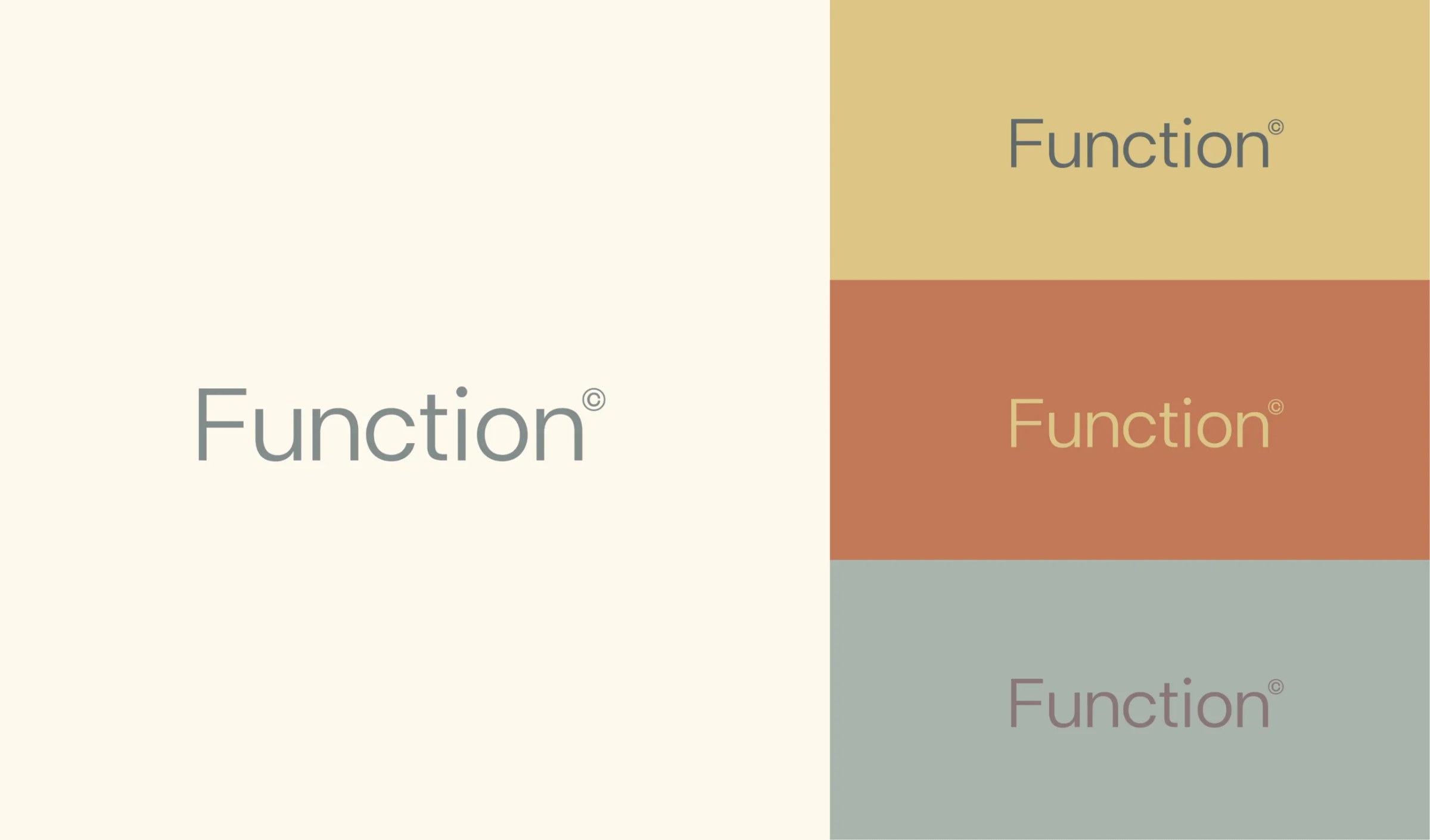Function project visual 2